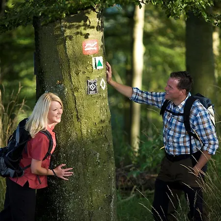 Am Kurpark فندق 4*