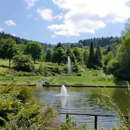 Am Kurpark فندق بريلون