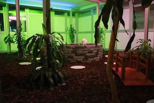 Am Kurpark Hotel Brilon